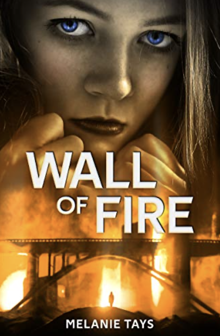 Wall of Fire: A Young Adult Dystopian Novel